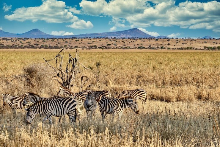 Serengeti National Park