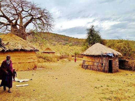 3-Day Nyerere Wilderness Safari from Dar es Salaam