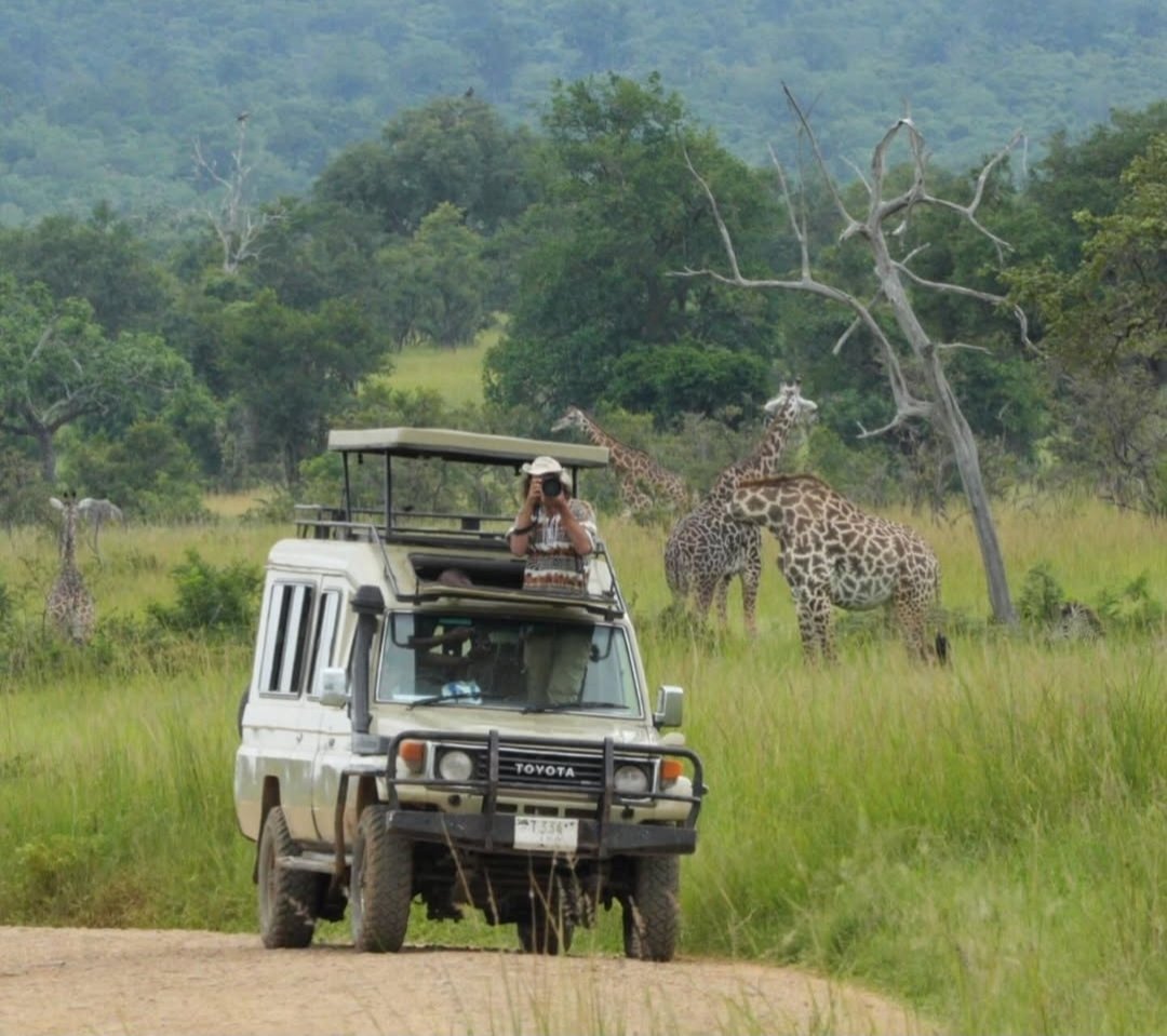 3-Day Zanzibar to Nyerere National Park Safari via Dar es Salaam