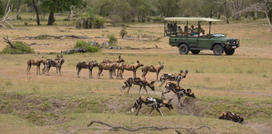 3-Day Safari from Zanzibar to Nyerere NP – Triple Game Drives